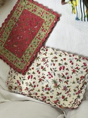 French Provencal block printed thick cotton reversible floral 10 placemats